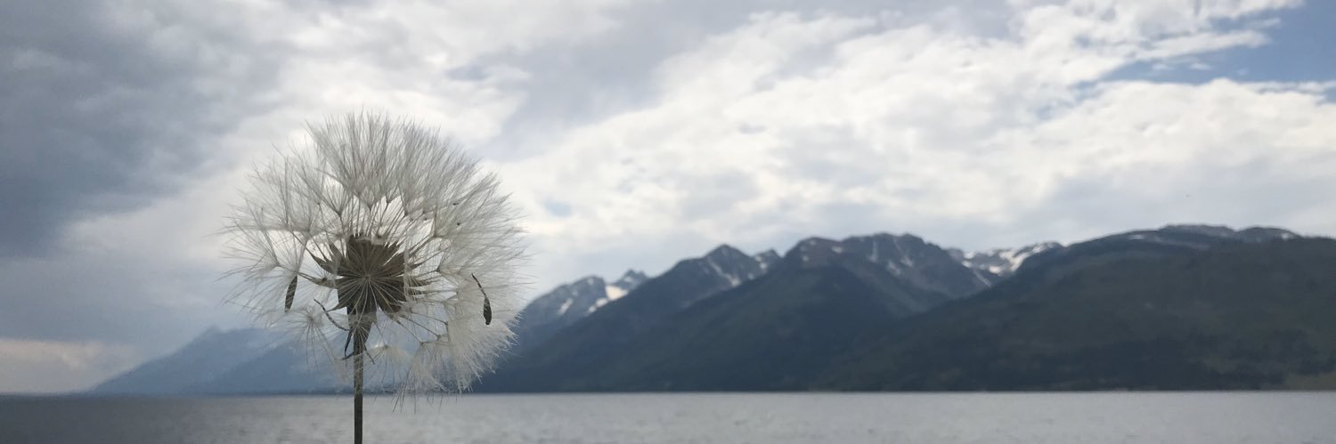 stellarbish's profile banner image