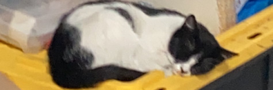 nut banner