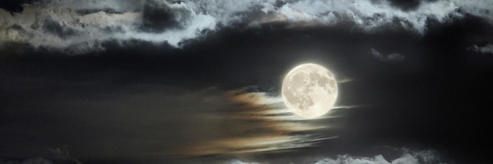 Alexx Aplin - Accessibility for All banner