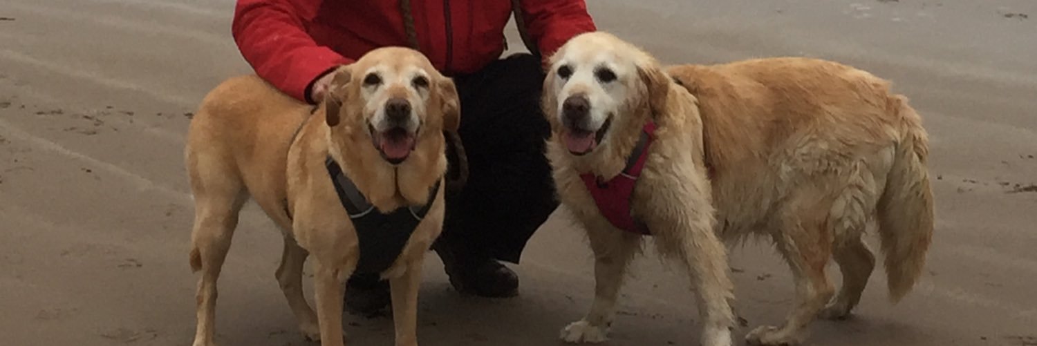 NWWoofers's profile banner image