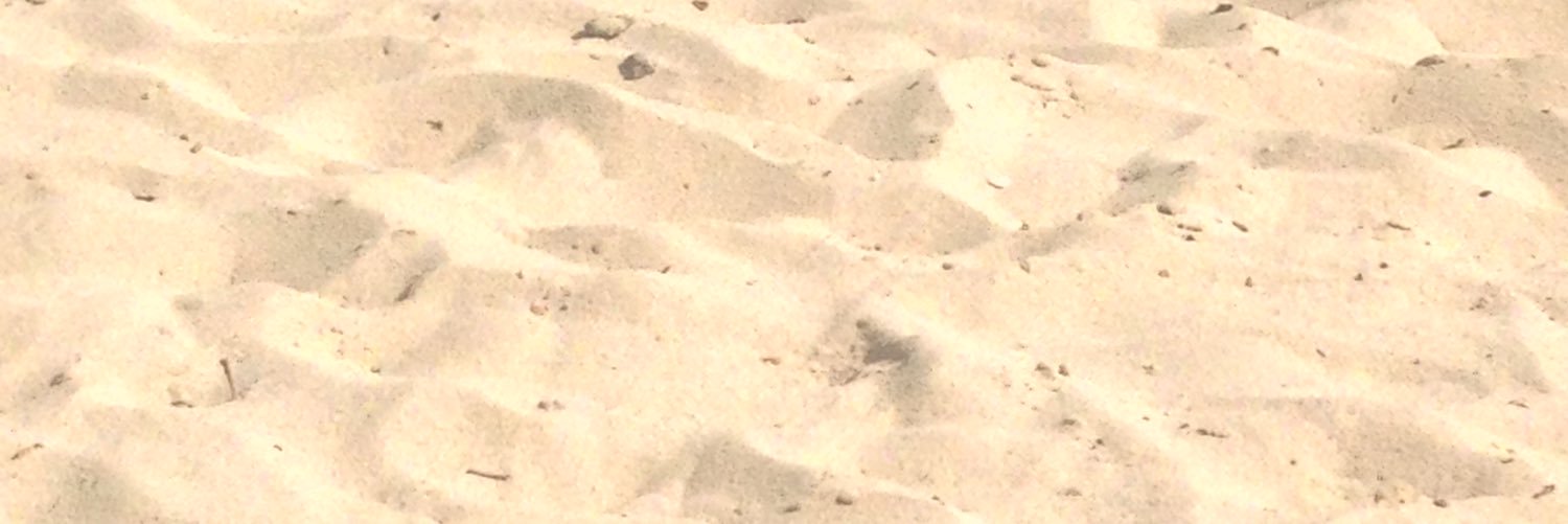 nikkialejandro's profile banner image