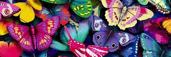 ᴀʟꜰéɪᴢᴀʀ 🐾🐾's banner