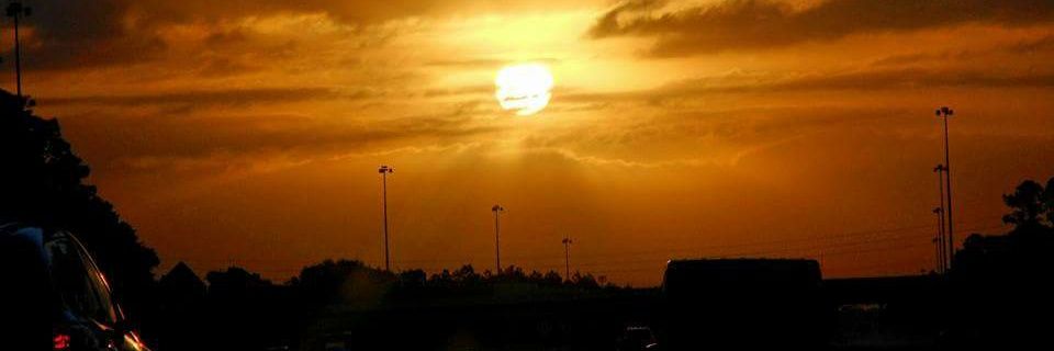 Anthony Walton banner