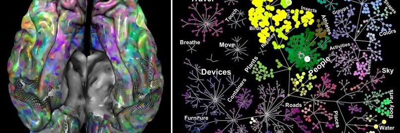 neuroattacks's profile banner image