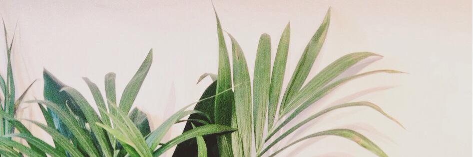 TEMPORARILY INACTIVE banner