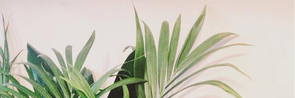 RTYourBlog Profile Banner