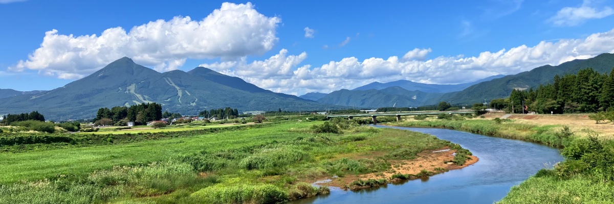 腸弱いアリ banner