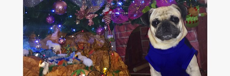 luisbadillo1399's profile banner image