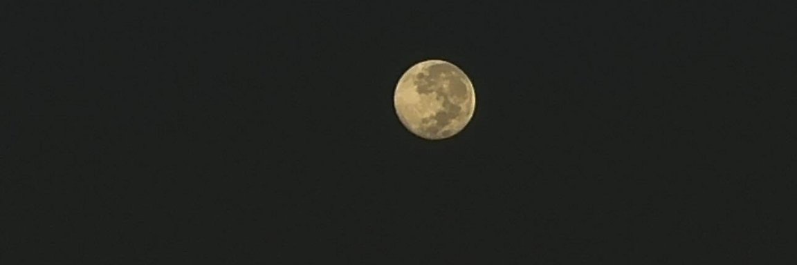 Alexa☾ |🖤 banner
