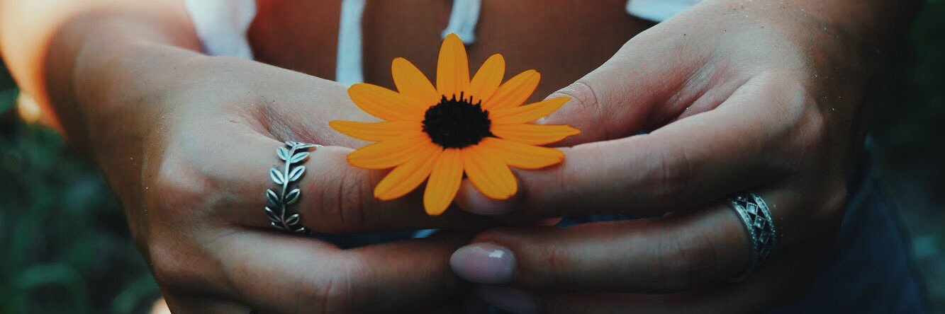 marisol_murray's profile banner image