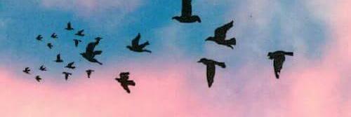 _andreamarquez2's profile banner image