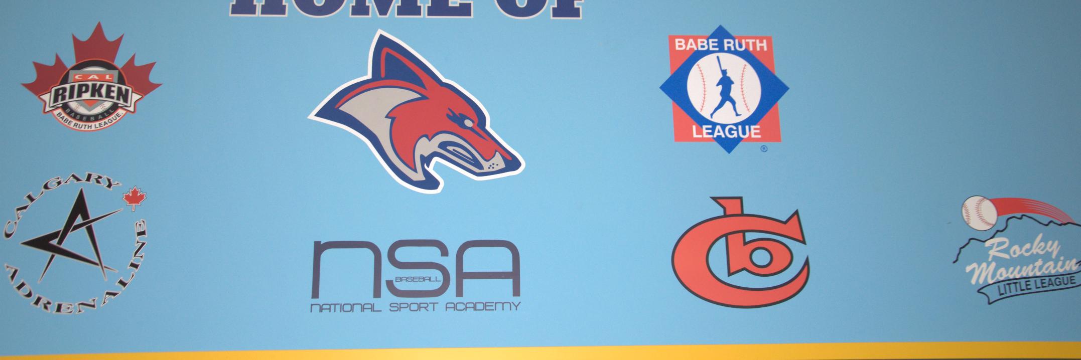 CCoyoteBaseball's profile banner image