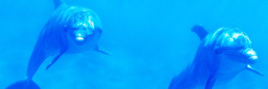 azida_da's profile banner image