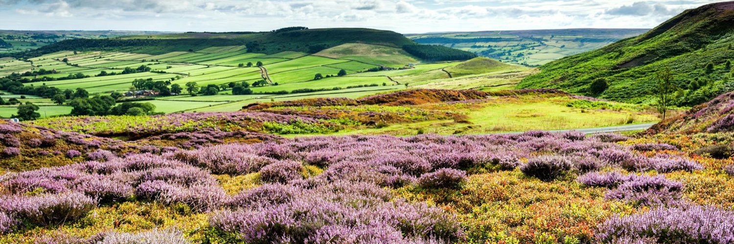 Brian John Chaplin banner