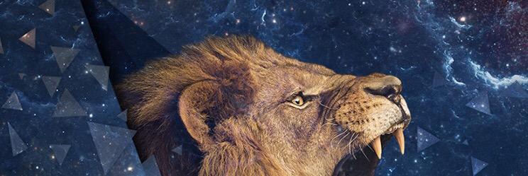 strawnati's profile banner image