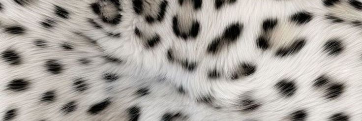 maiipsy's profile banner image