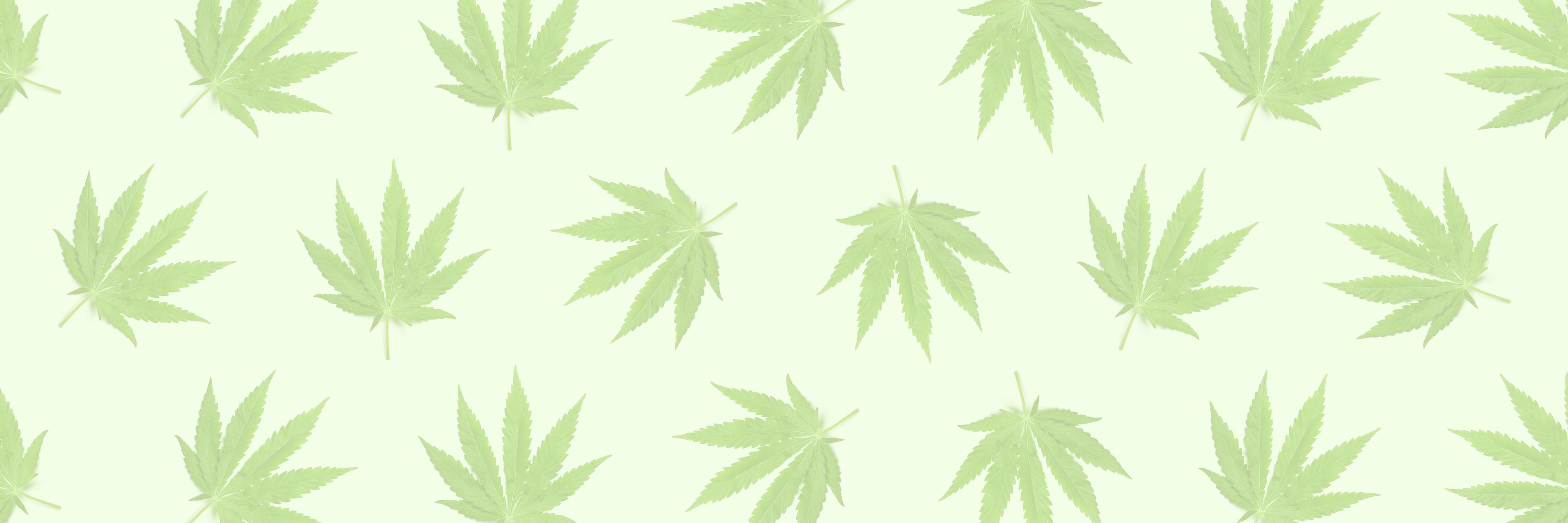 _JaynGreen's profile banner image