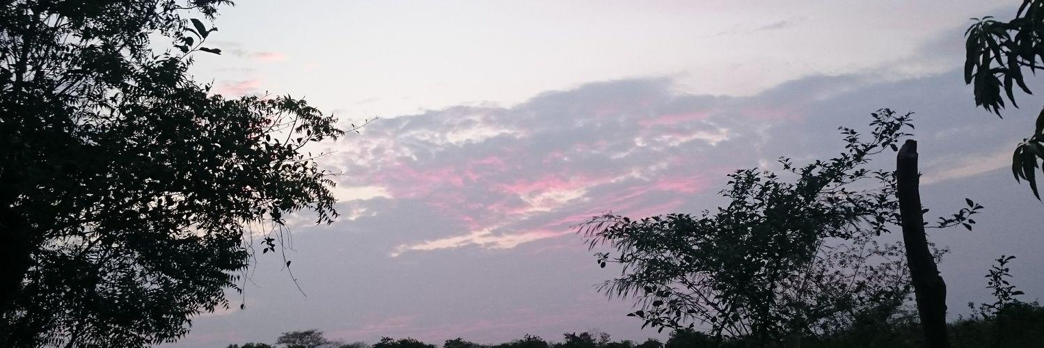 LeoRamz's profile banner image