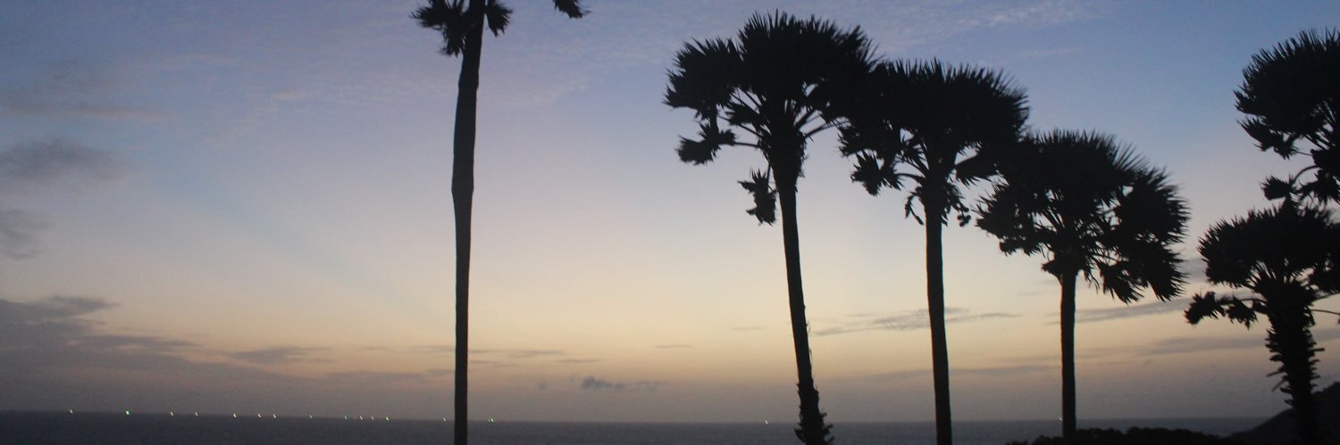 MoiraSmets's profile banner image