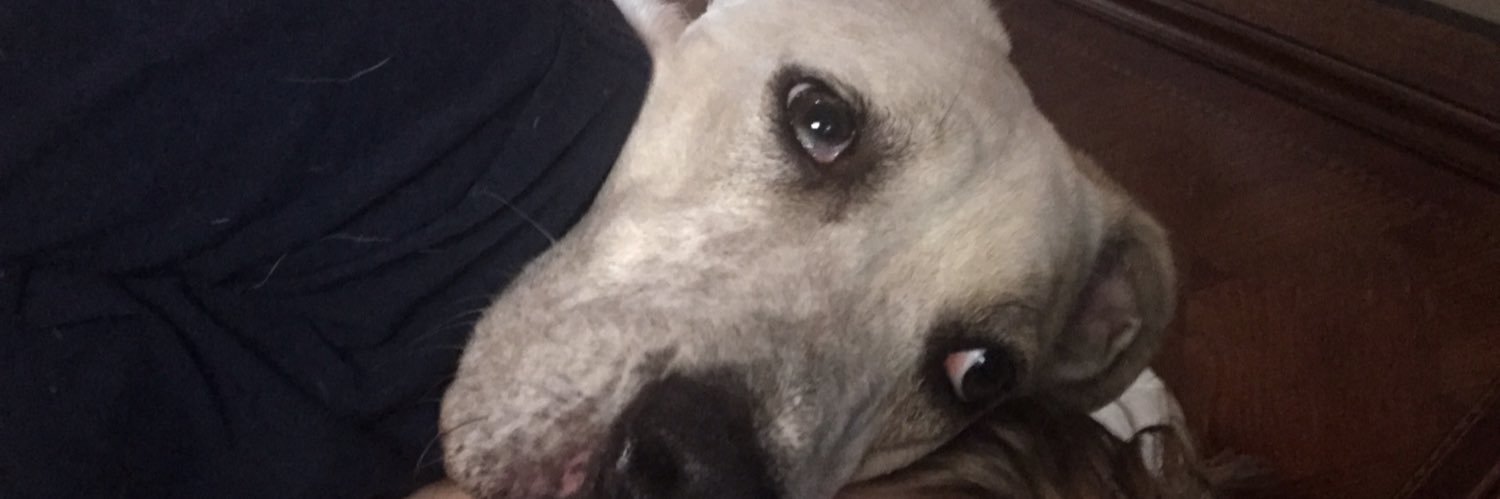 laurenmrandolph's profile banner image