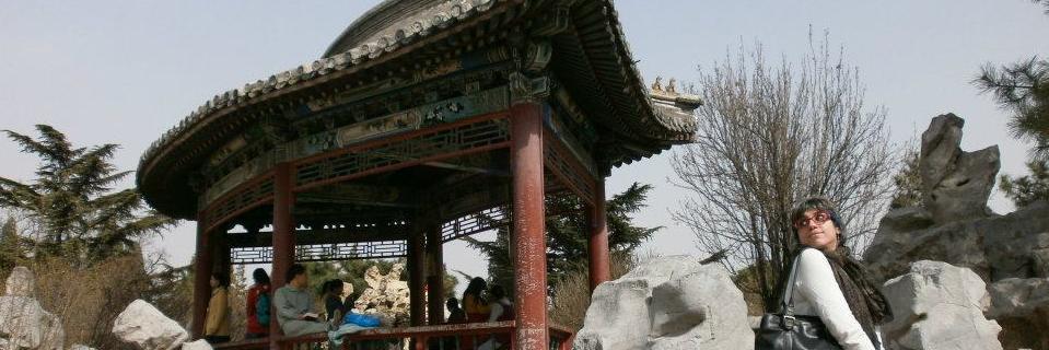 ZhulinZ's profile banner image