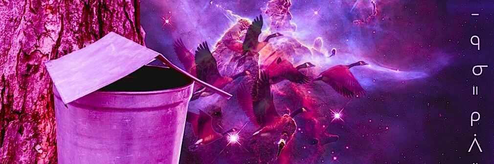 pinehshiinsh's profile banner image