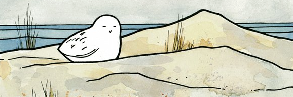 nazserif's profile banner image