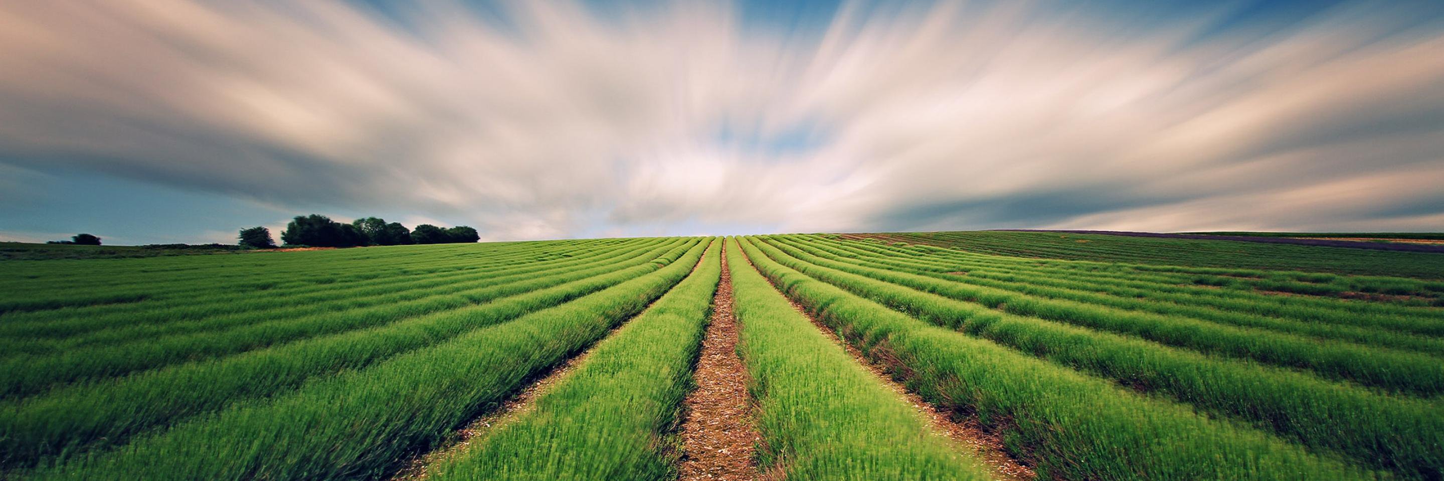 Agriwhere's profile banner image