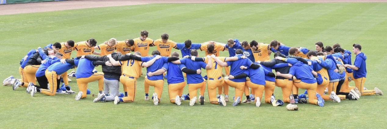 Hilbert College Baseball banner