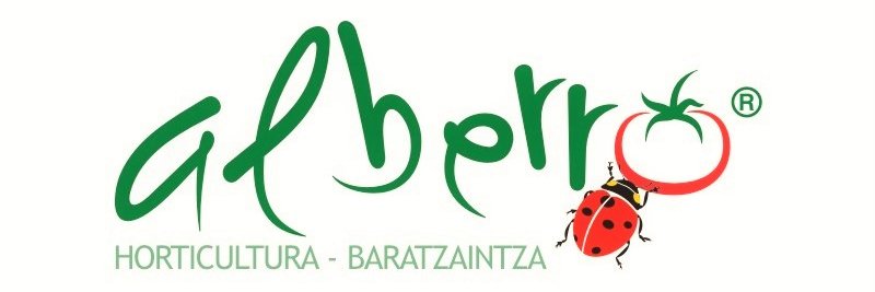 alberro01's profile banner image