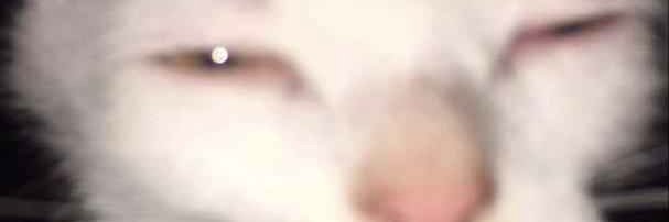 kanbae_'s profile banner image