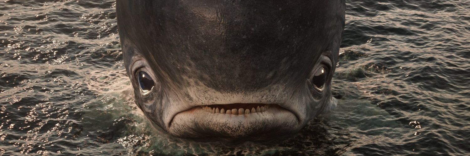 Kev 🍿🎬📽️ banner