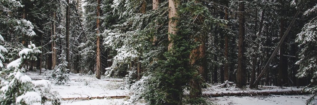 caela_west's profile banner image