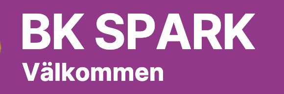 BK Spark banner