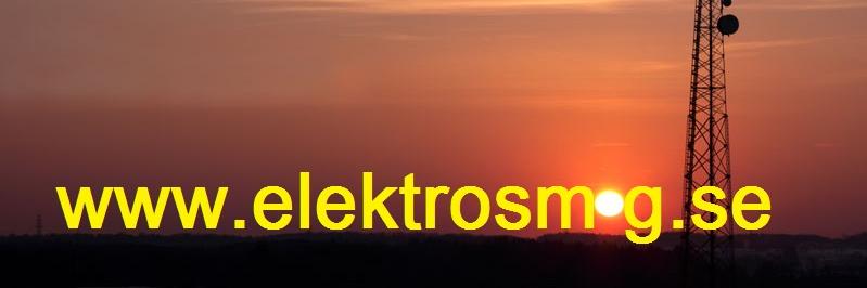 Harald buskfahger banner