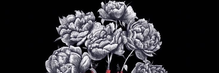 SeribuDebu's profile banner image