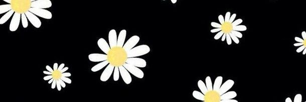 putrigntsh's profile banner image
