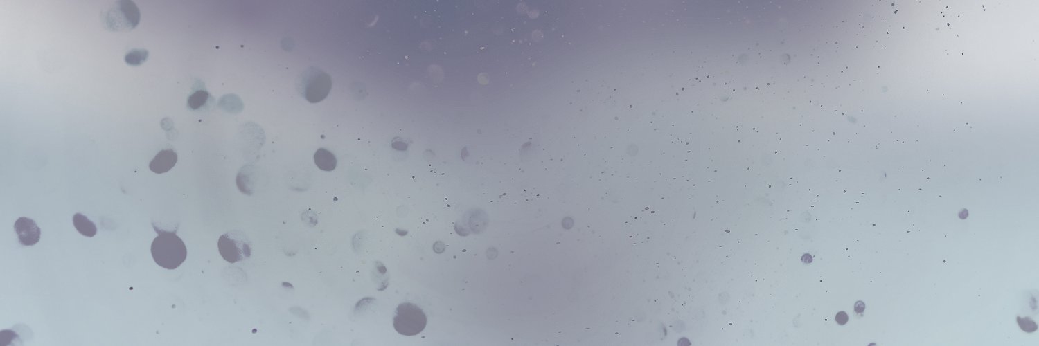 Fluxtory's profile banner image