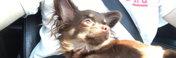 channjake Profile Banner