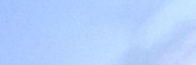 BeachdaeDeja's profile banner image