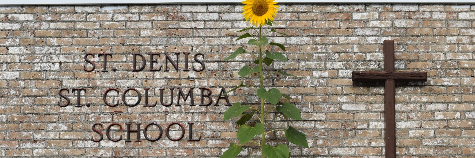 sdsc_psa's profile banner image