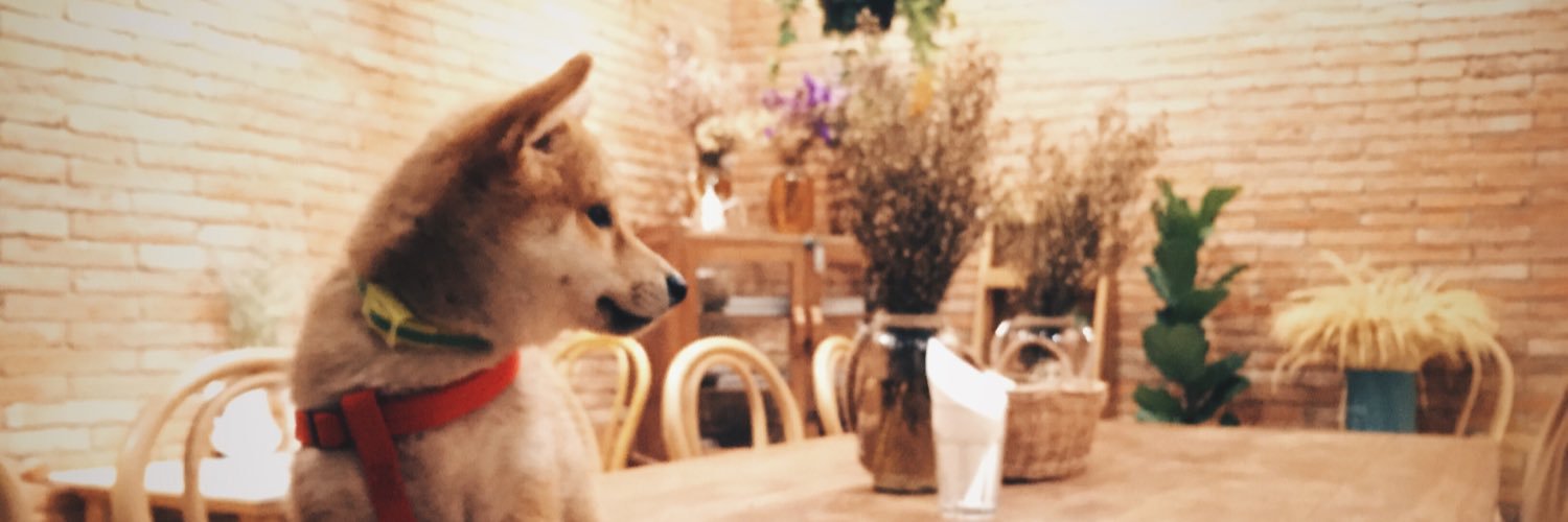 ... banner