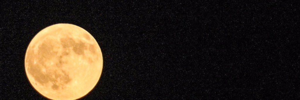 princessariahh's profile banner image