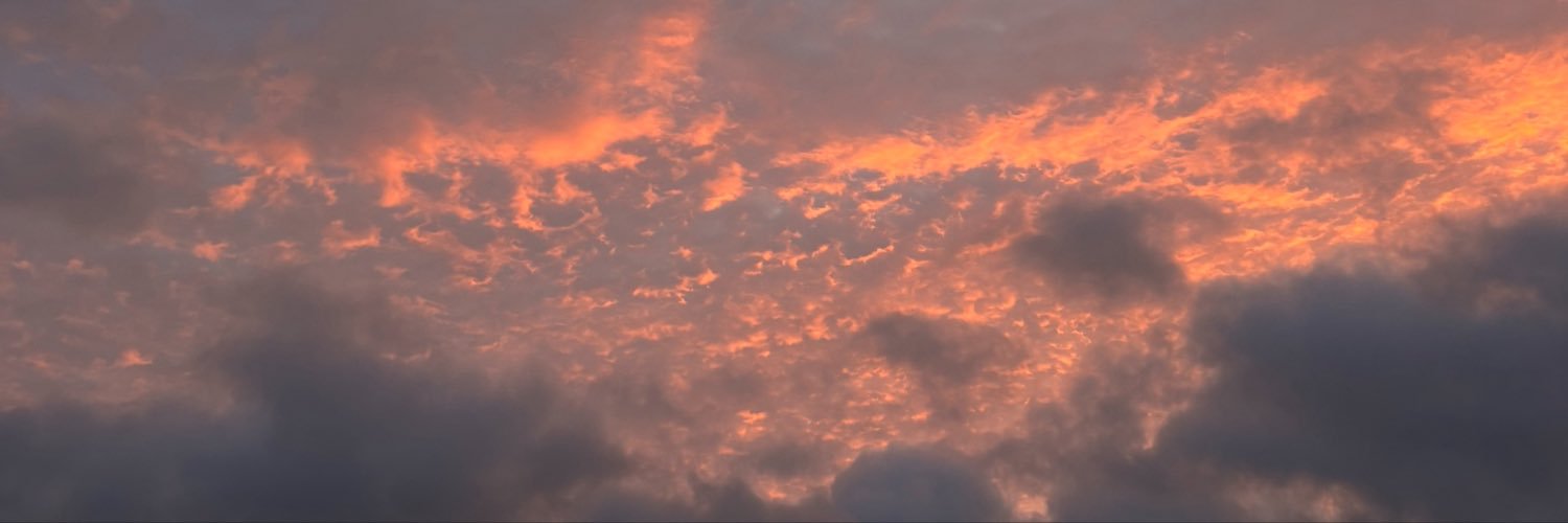 jesssvarela's profile banner image