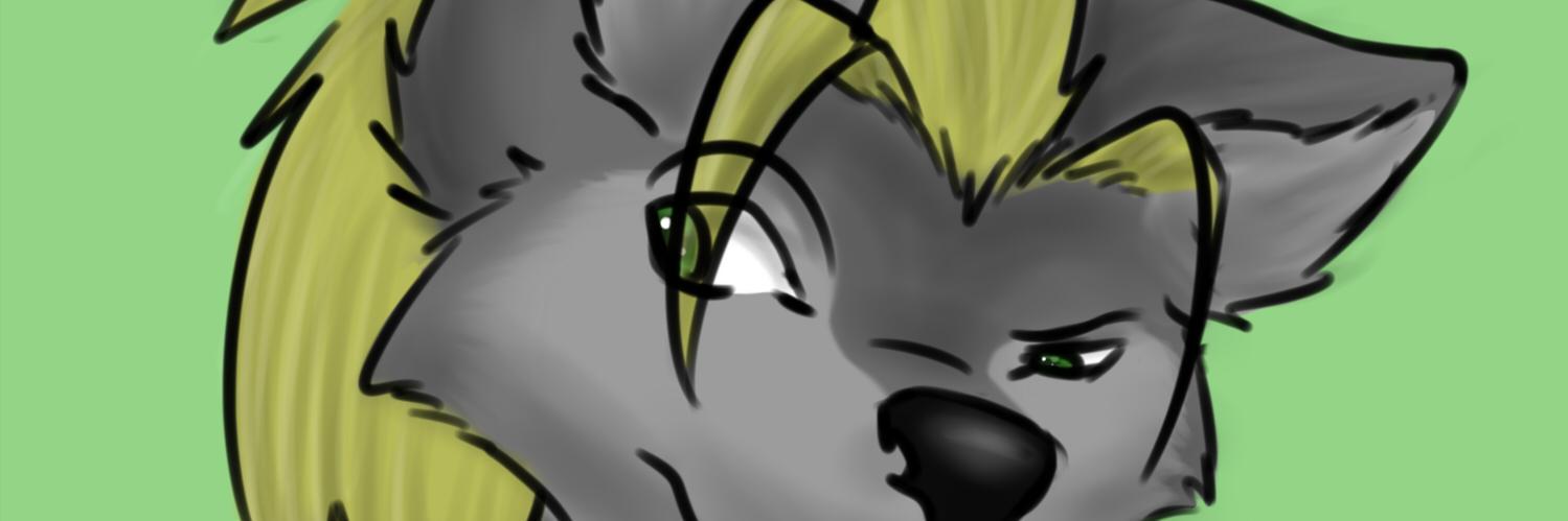 VittWolf's profile banner image