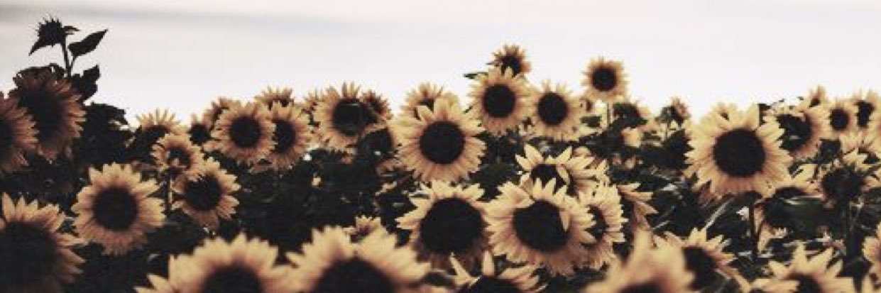 __SoGOOD's profile banner image
