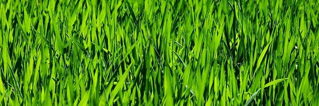 tsukkunsa's profile banner image