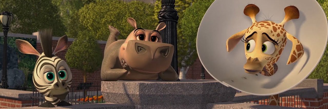 Seebaas_9's profile banner image