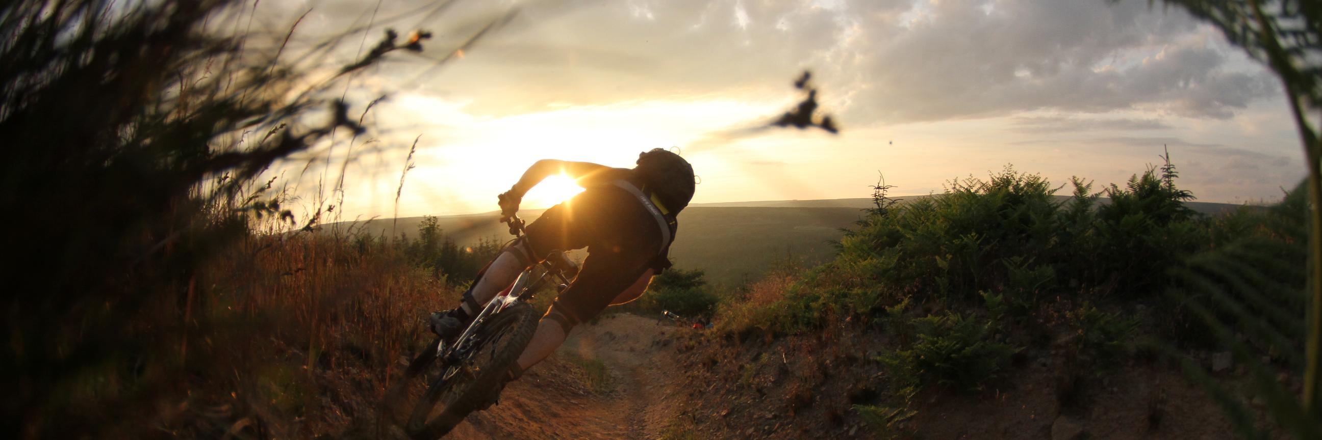 Inspiral_Cycles's profile banner image
