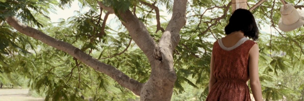 KIDDAL伯 banner